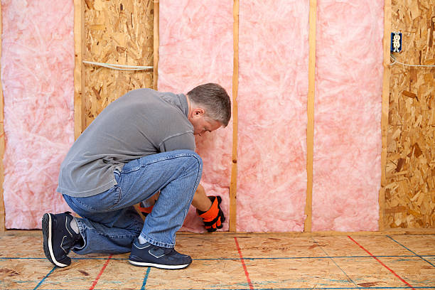 Best Energy Efficiency Insulation in Jacksonville, AL