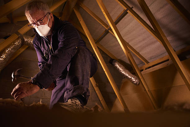 Best Residential Insulation in Jacksonville, AL