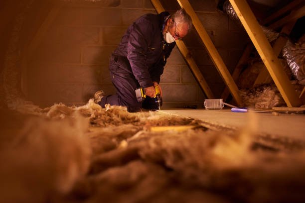 Best Cellulose Insulation in Jacksonville, AL